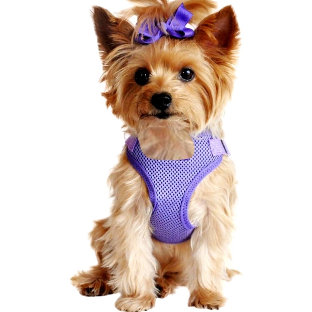 new Pet Chest Purple Strap Pet‎ Outdoor Walking Collar Dog Harness small/med